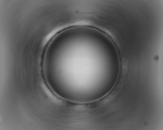 X0000112871422200908211415