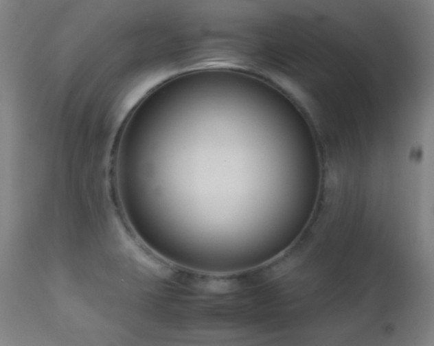 X0000112871423200908211415