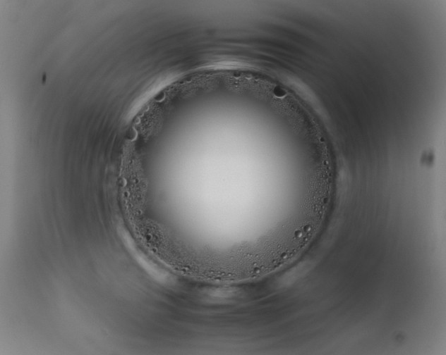 X0000112871425200908211415