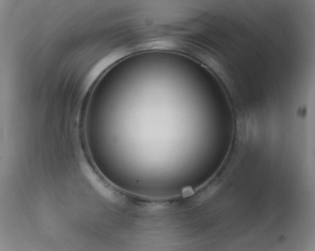 X0000112871426200908211415