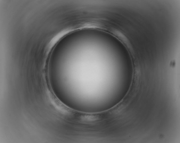 X0000112871427200908211415