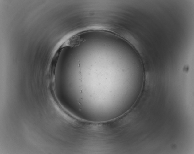 X0000112871428200908211416