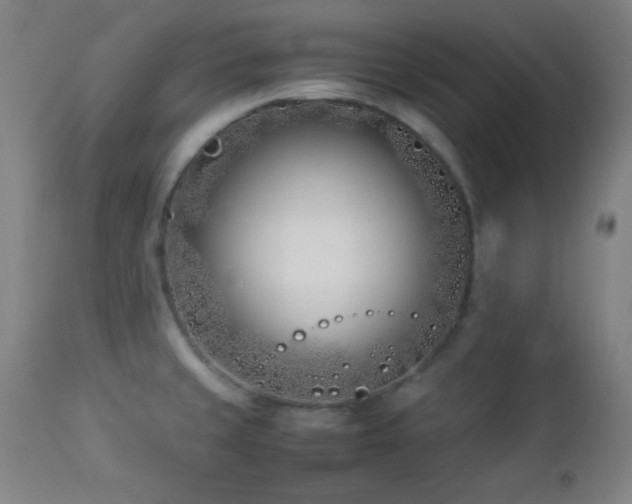 X0000112871429200908211416