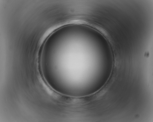X0000112871430200908211416