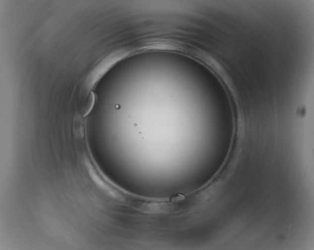 X0000112871433200908211416