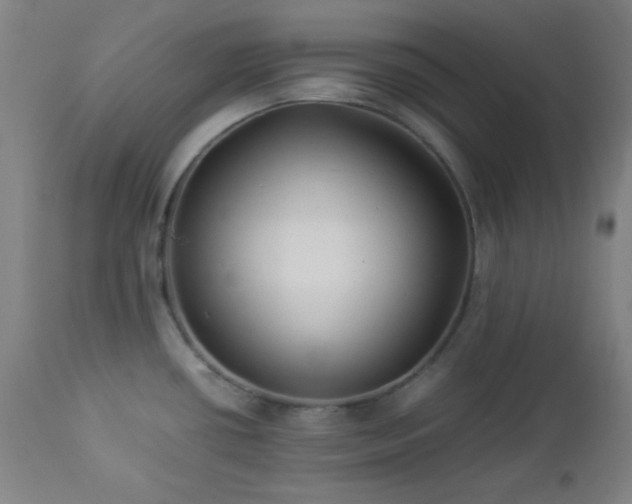X0000112871434200908211416