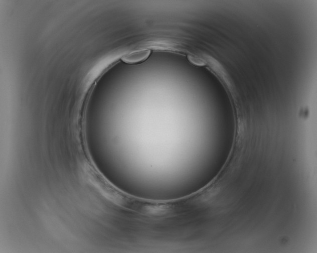 X0000112871435200908211416