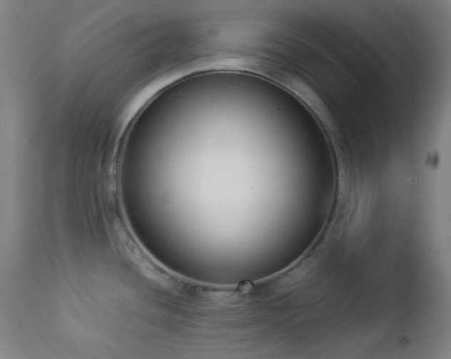 X0000112871436200908211416