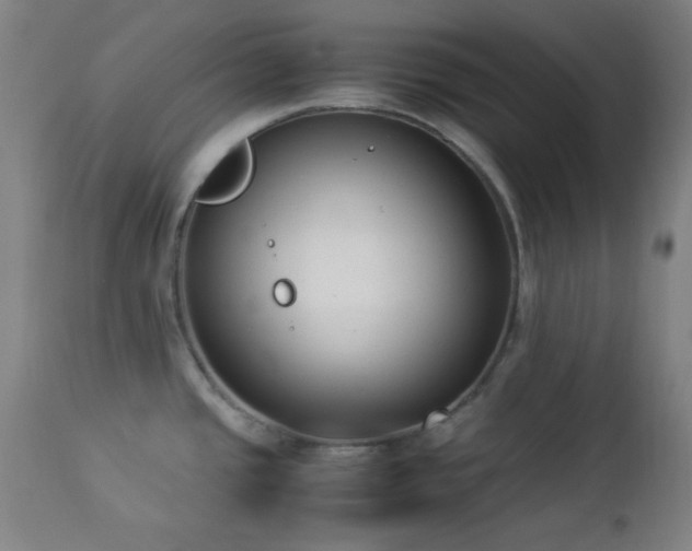 X0000112871437200908211416