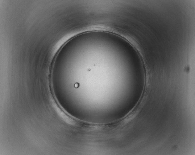 X0000112871438200908211416