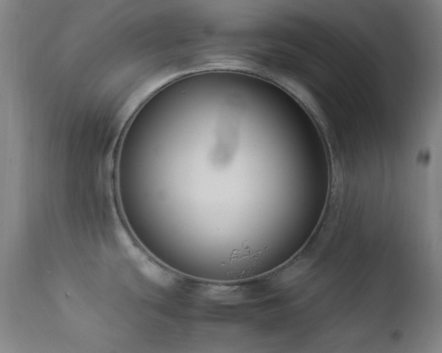 X0000112871439200908211416