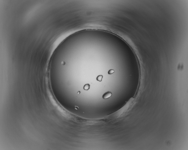 X0000112871440200908211416