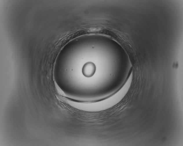 X0000112871441200908211415
