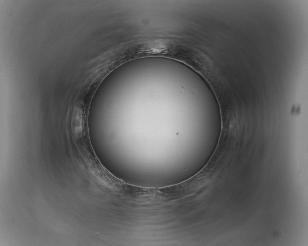 X0000112871442200908211415