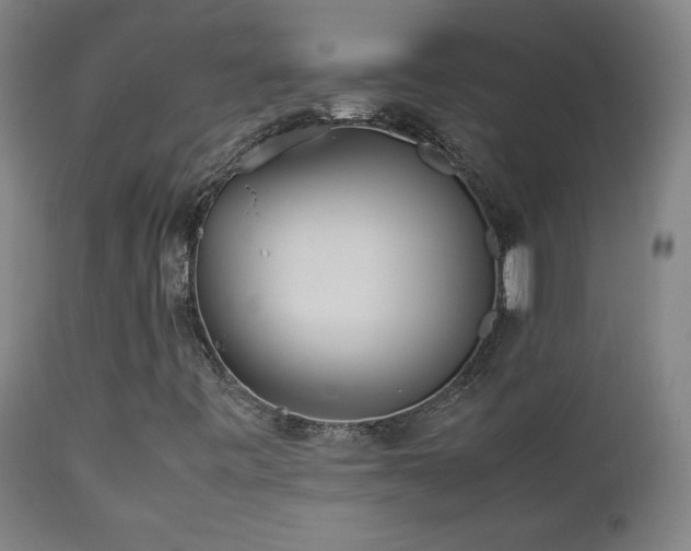 X0000112871443200908211415