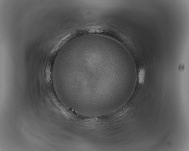 X0000112871444200908211415