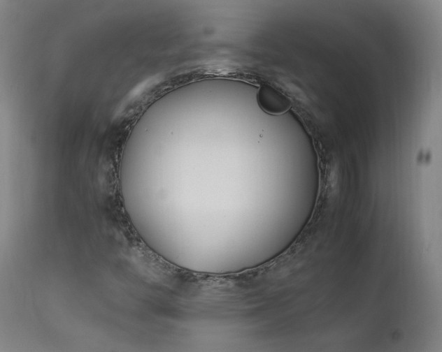 X0000112871446200908211415