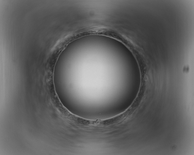 X0000112871447200908211415