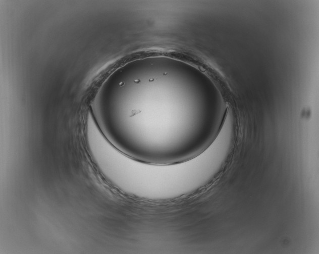 X0000112871448200908211415