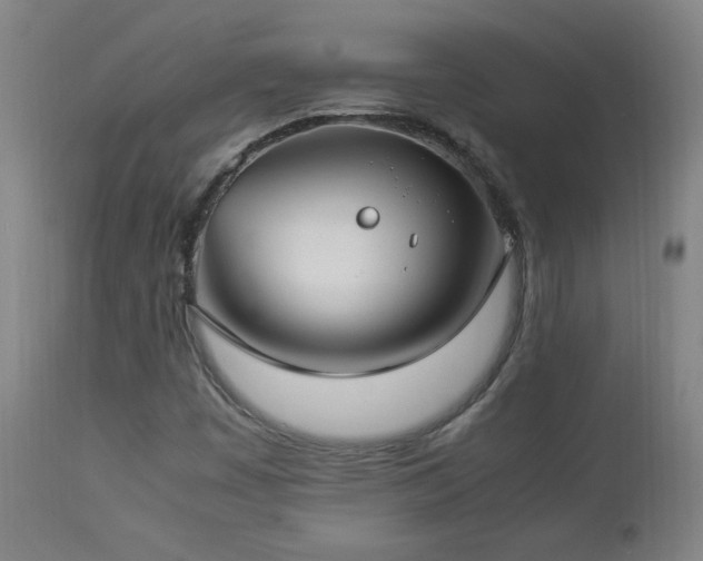 X0000112871449200908211415