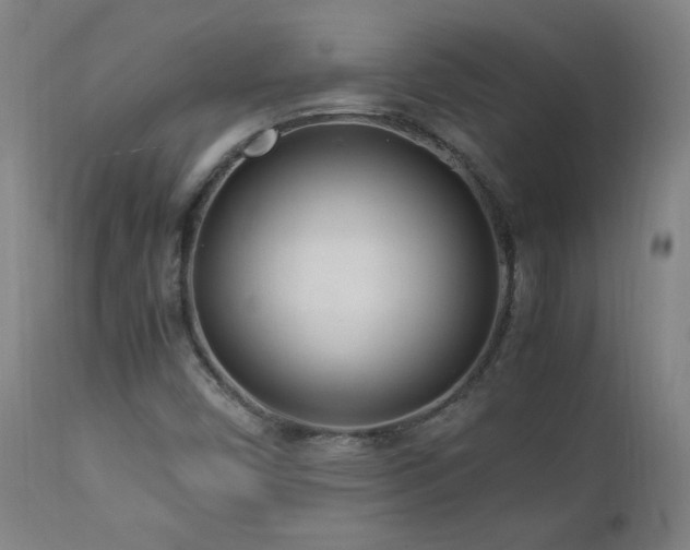 X0000112871450200908211415