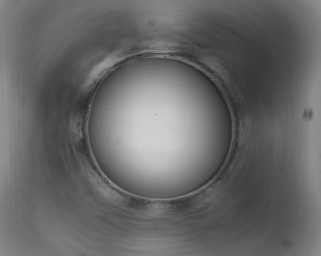 X0000112871451200908211415