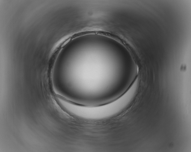 X0000112871452200908211415