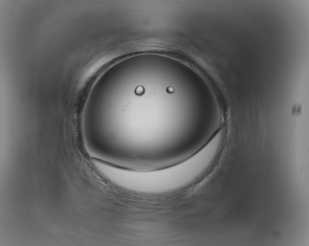X0000112871453200908211415