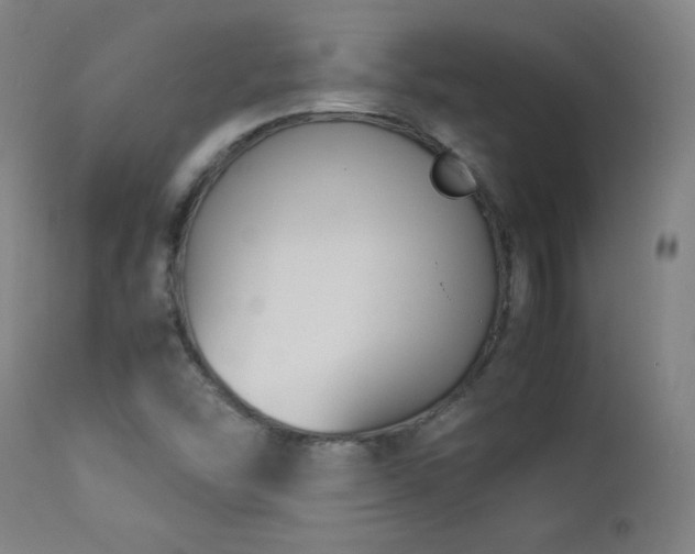 X0000112871454200908211415