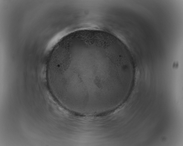 X0000112871455200908211415