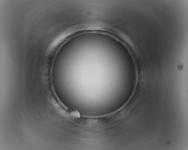 X0000112871456200908211415