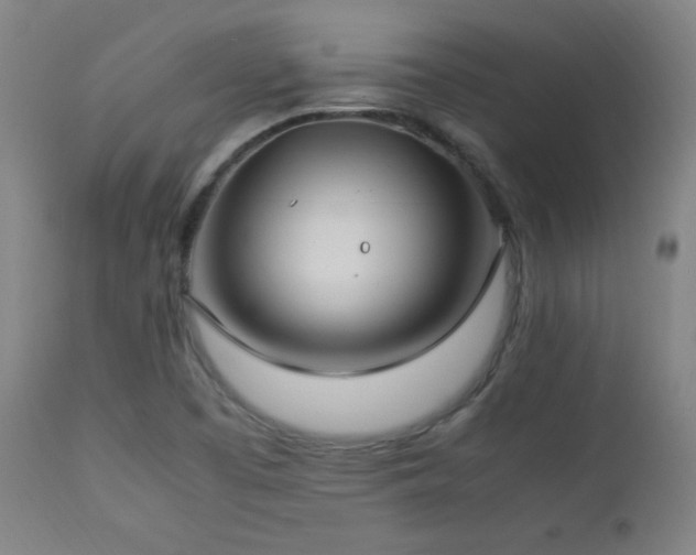 X0000112871457200908211415