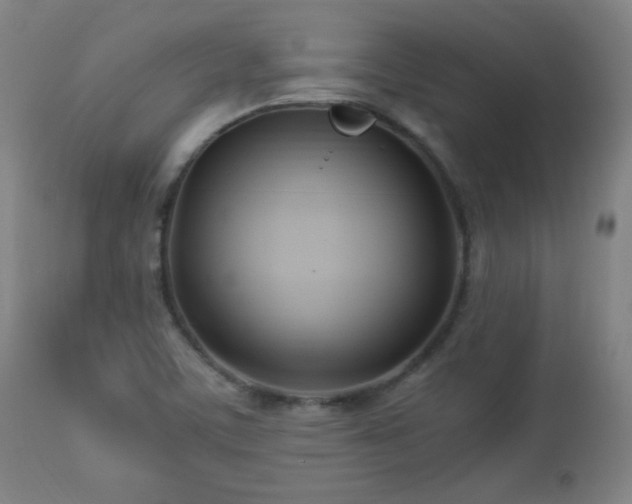 X0000112871459200908211415