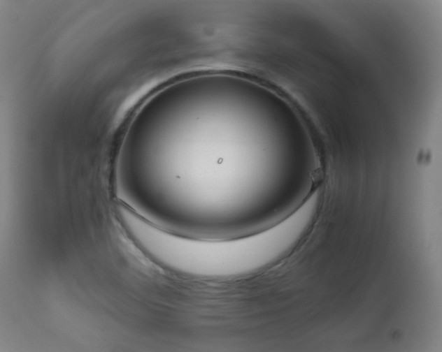 X0000112871460200908211415
