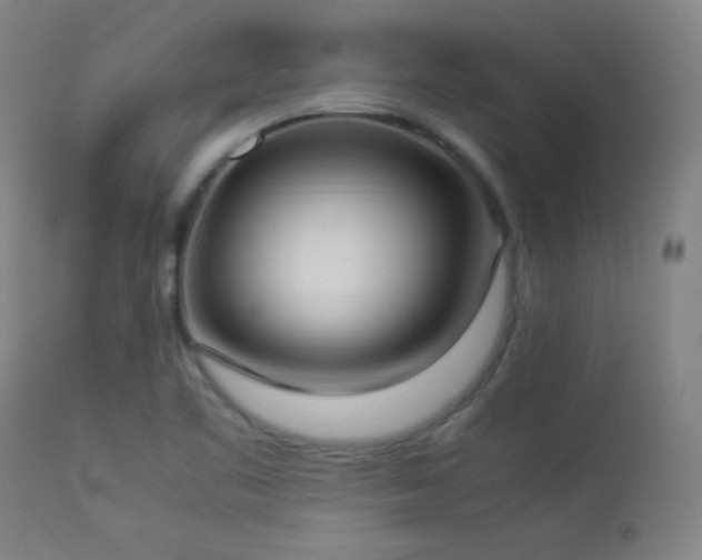 X0000112871461200908211415