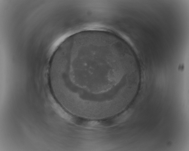 X0000112871463200908211415