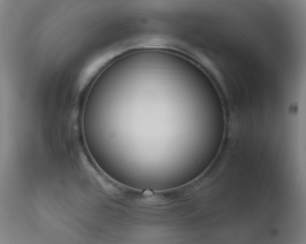 X0000112871464200908211415