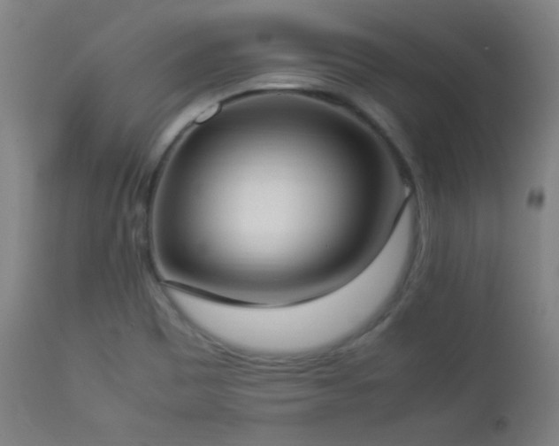 X0000112871465200908211415