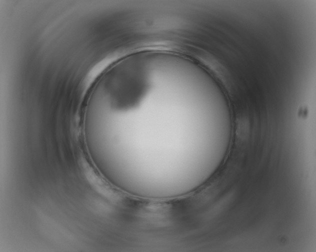 X0000112871466200908211415