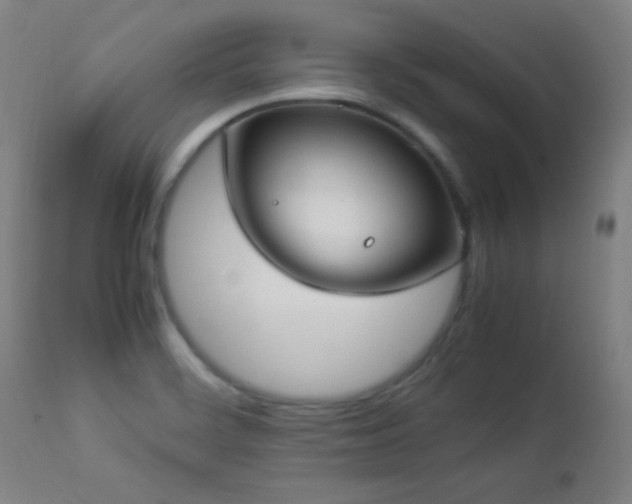 X0000112871468200908211415