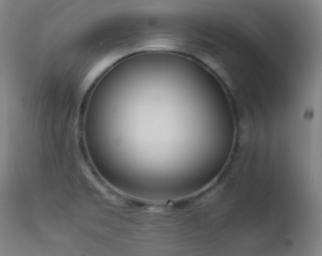 X0000112871469200908211415