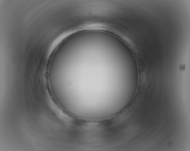 X0000112871470200908211415