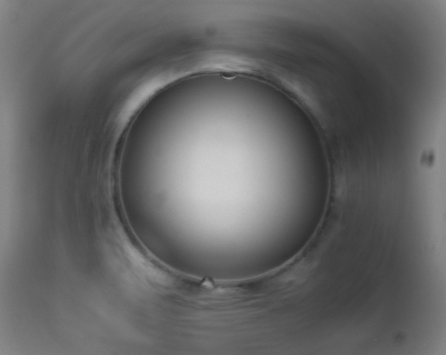 X0000112871471200908211415