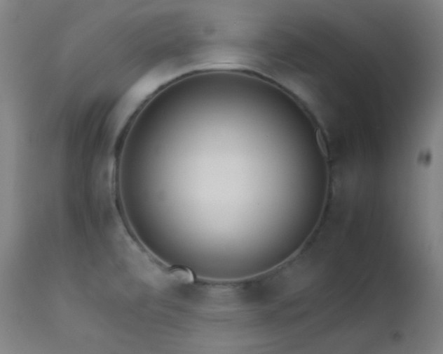 X0000112871472200908211415