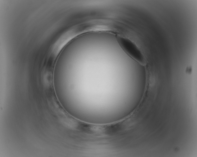 X0000112871473200908211415