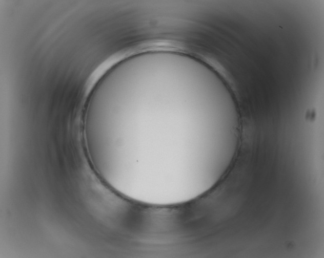 X0000112871474200908211415