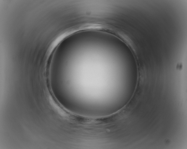 X0000112871475200908211415