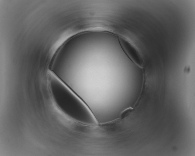 X0000112871476200908211415