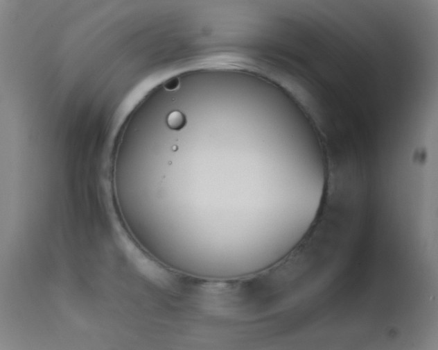 X0000112871478200908211415