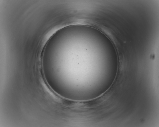 X0000112871479200908211414